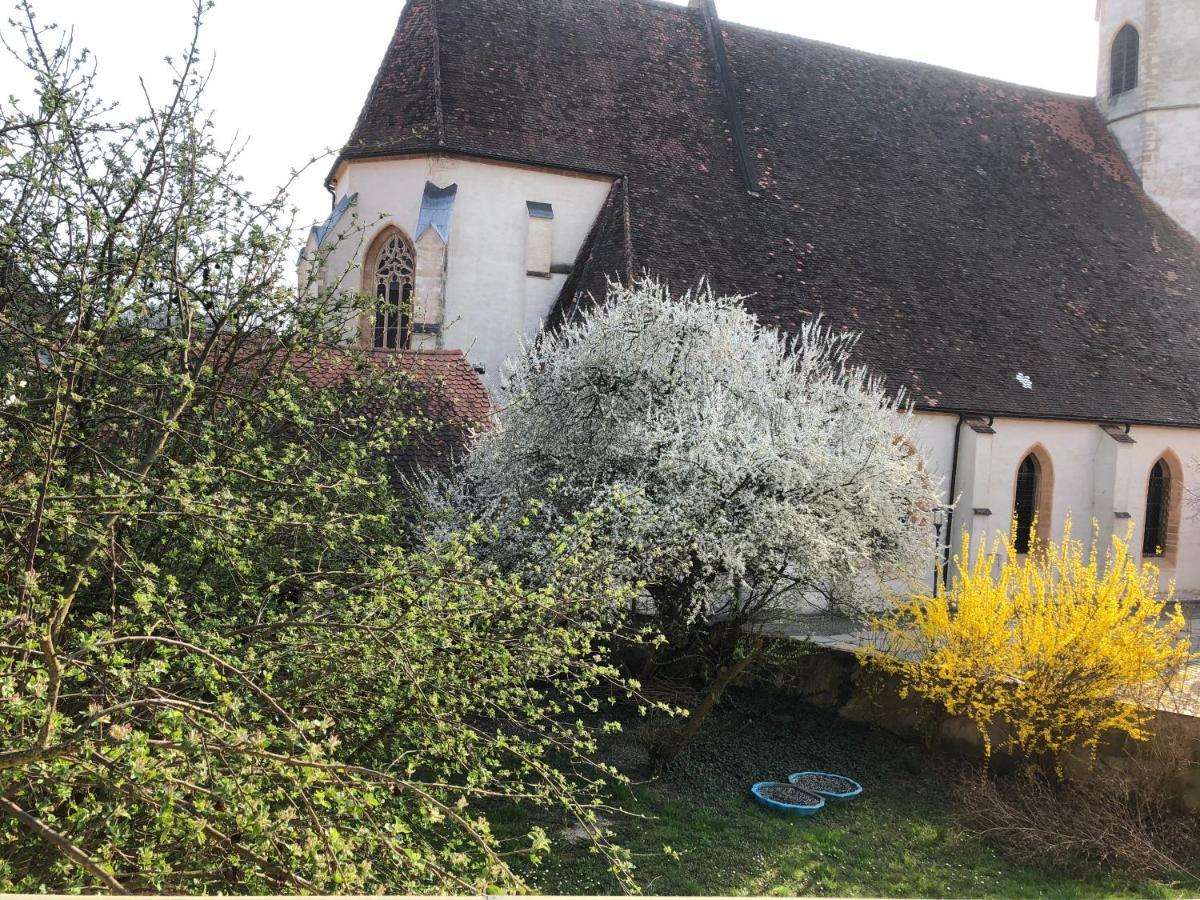 Altstadt-Apartments Bad Radkersburg - Ihr Zuhause Auf Reisen Екстериор снимка